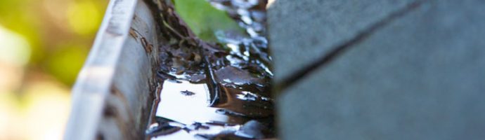 Cleaning Gutters